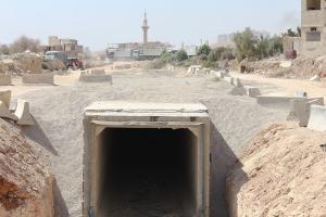 صور من الواقع 